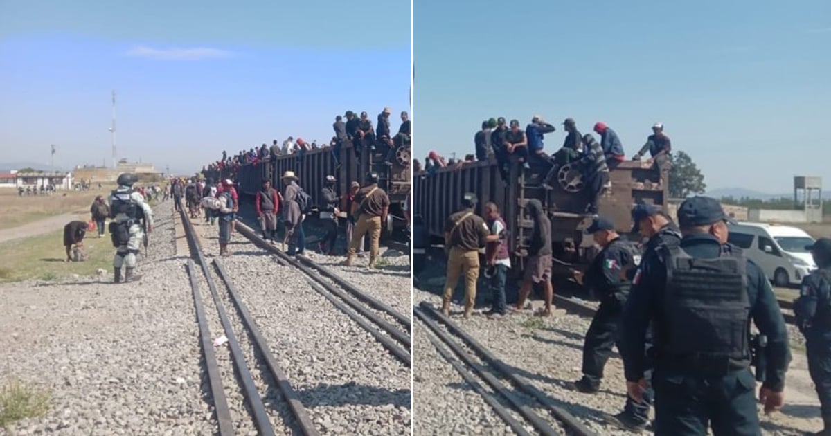 Más de 450 migrantes fueron interceptados cuando viajaban en tren por el estado de Tlaxcala © Collage de Facebook/Fuerza Coordinada Tlaxcala