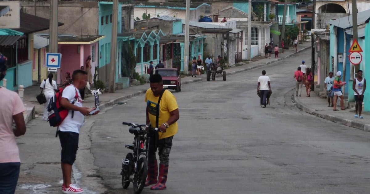 Cubans Express Concerns Over Oropouche Virus Outbreak: "People Are Collapsing on the Streets"