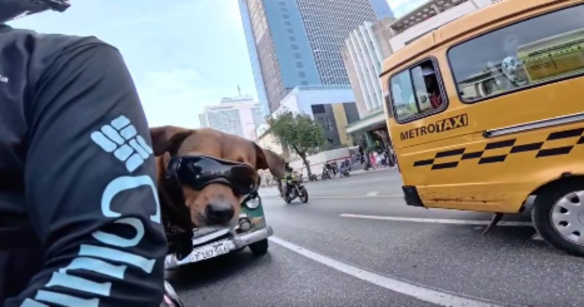 Divertido paseo en moto de un joven cubano junto a su perrito se hace viral en La Habana