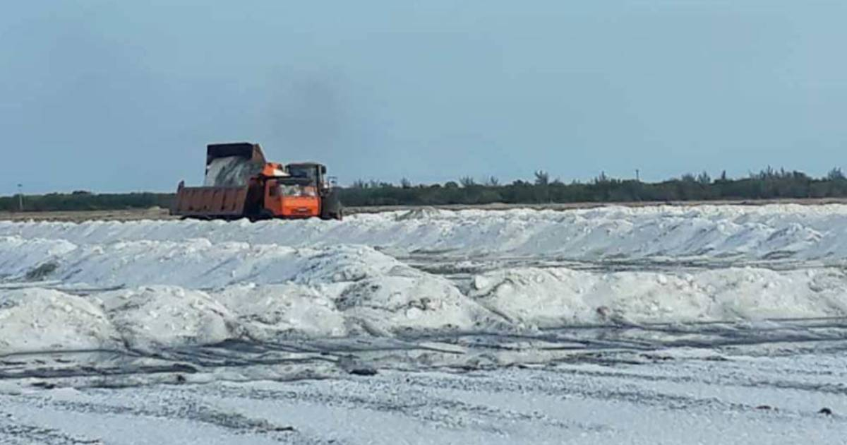 Cubanos desesperados por la falta de sal: el transporte sigue siendo el culpable