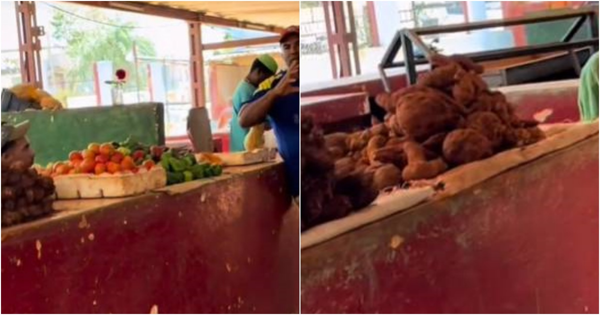 El agromercado de La Palma: ¿Desolación y precios exorbitantes en La Habana?