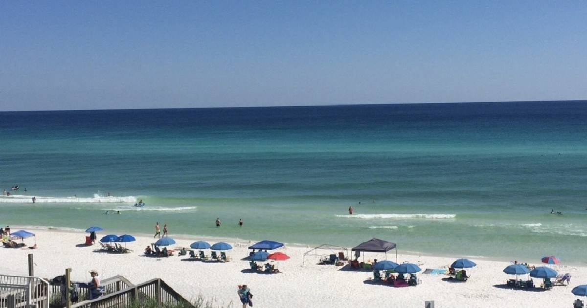 Shark Attacks Prompt Warnings at Florida Beaches
