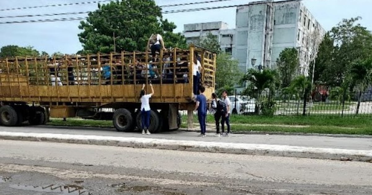 Estudiantes de Medicina subiendo a camión para ganado en Villa Clara © Cortesía para CiberCuba