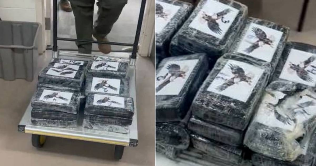 Sailor Discovers Cocaine Worth $1 Million in Florida