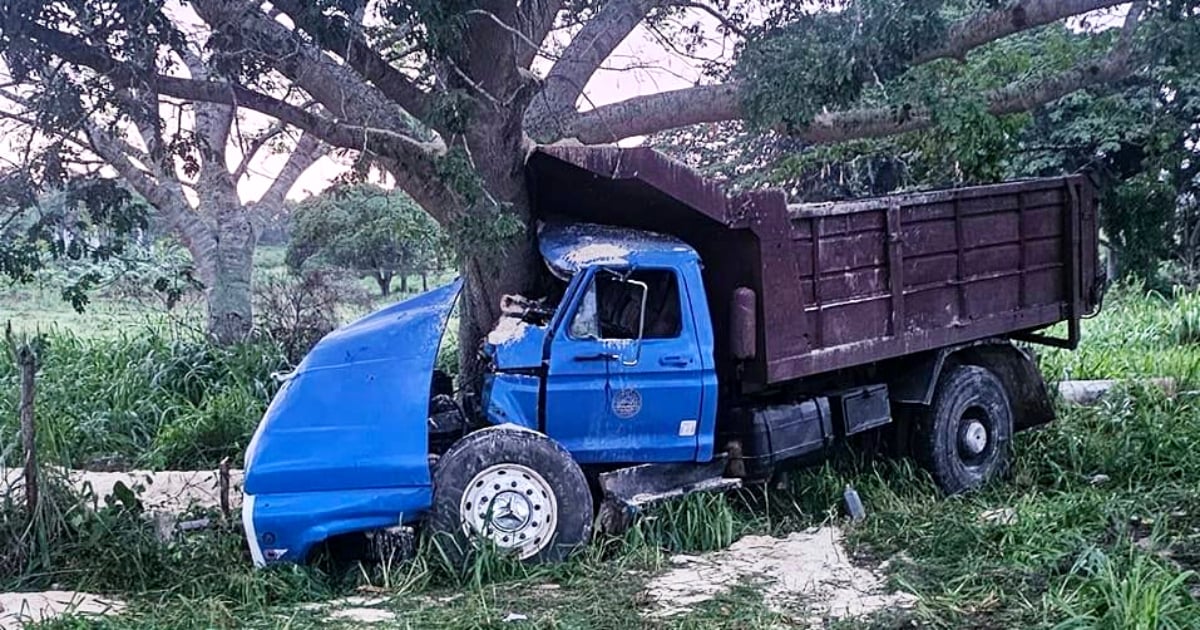 Truck Loaded with Sand Crashes into Tree on Matanzas Highway