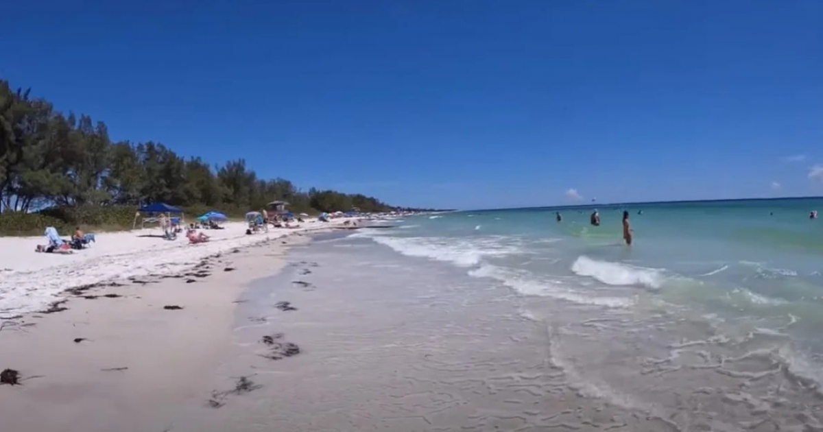 Six Tourists Die in Florida Due to Rip Currents
