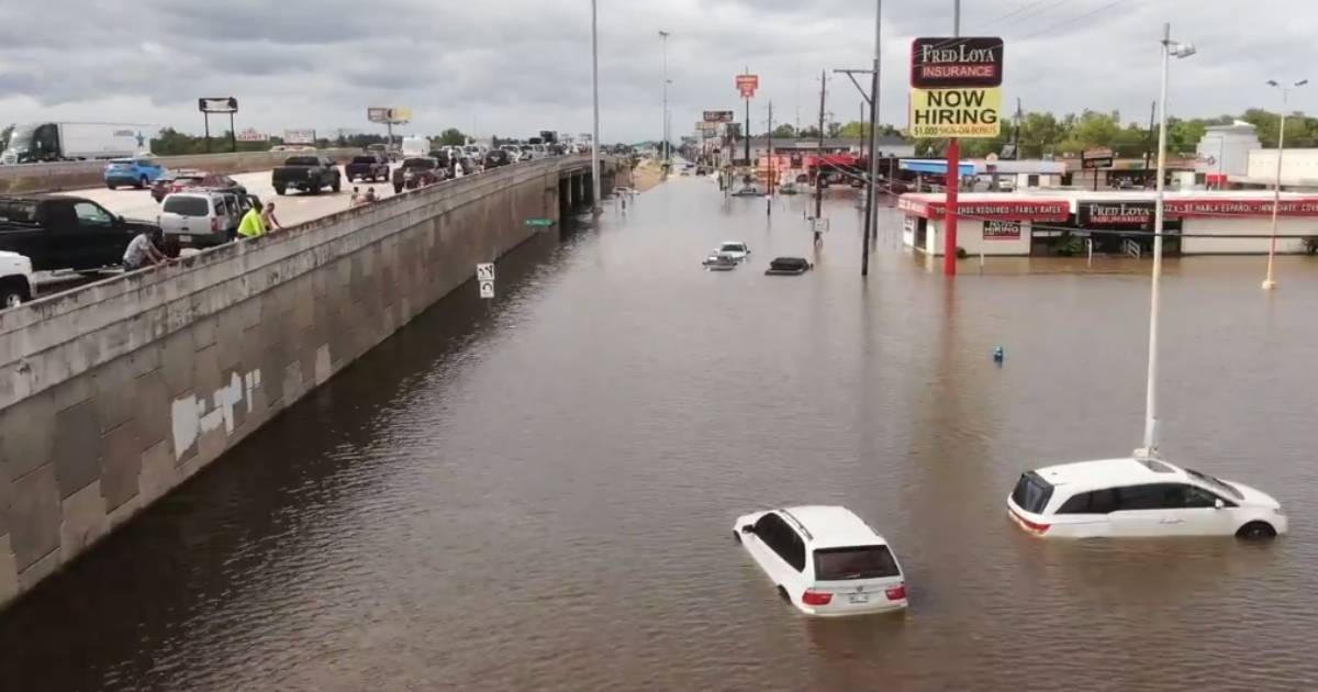 Eight Dead as Tropical Storm Beryl Devastates Texas