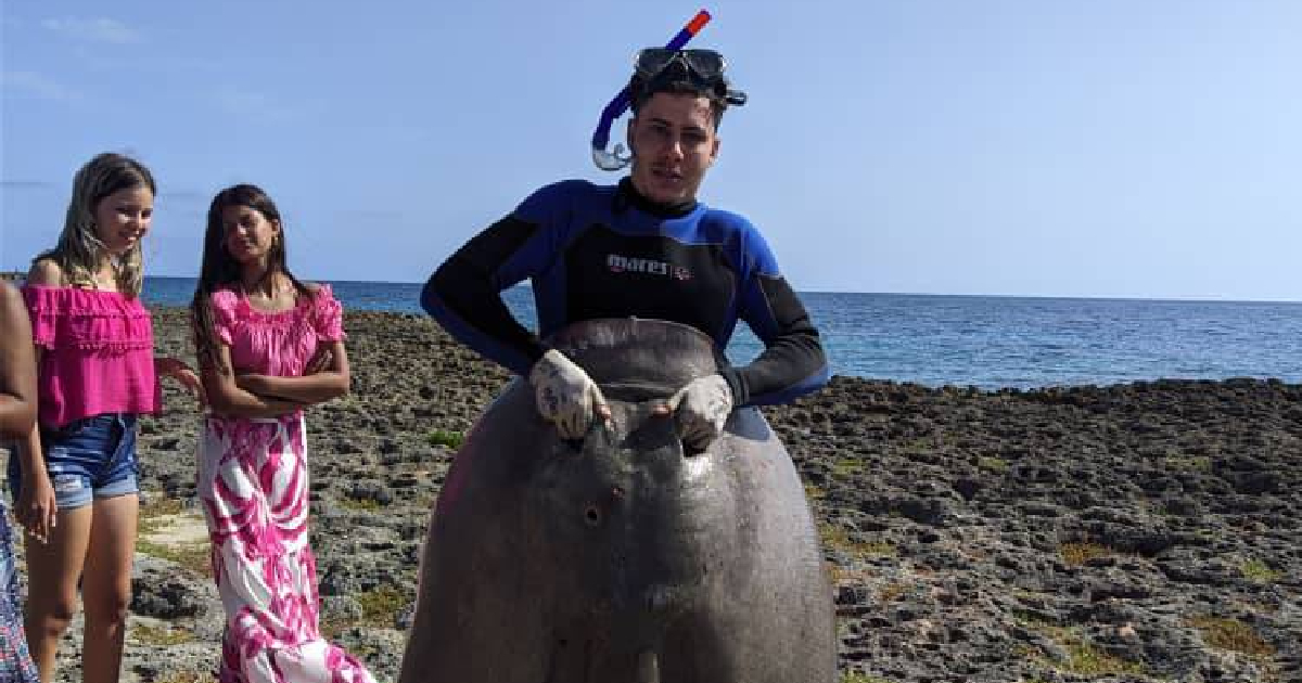 Cuban Fisherman Lands Massive Ray off Sancti Spíritus Coast