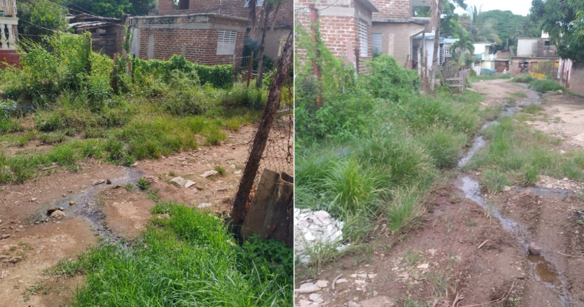 Llamado urgente desde Holguín: "Estamos muriendo", denuncia ciudadana ante crisis sanitaria