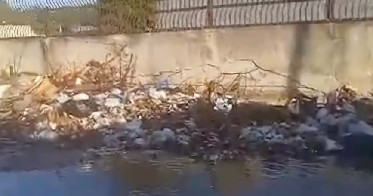 Overflowing Garbage Near Frank País Orthopedic Hospital in Havana