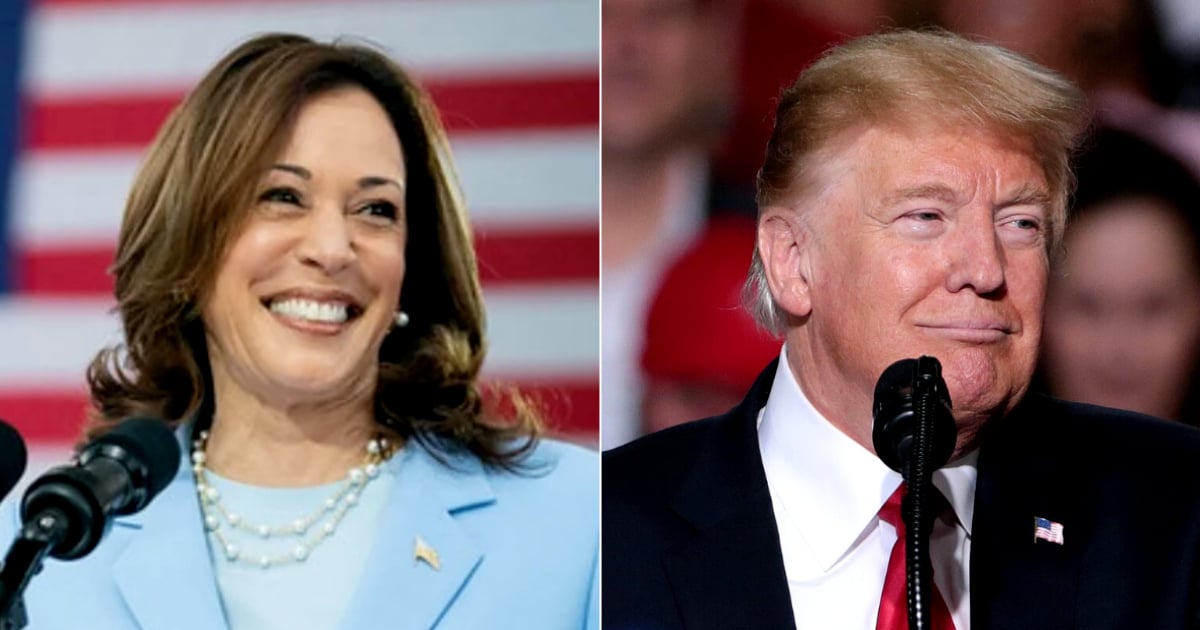 Kamala Harris y Donald Trump © X / Kamala Harris - Wikipedia