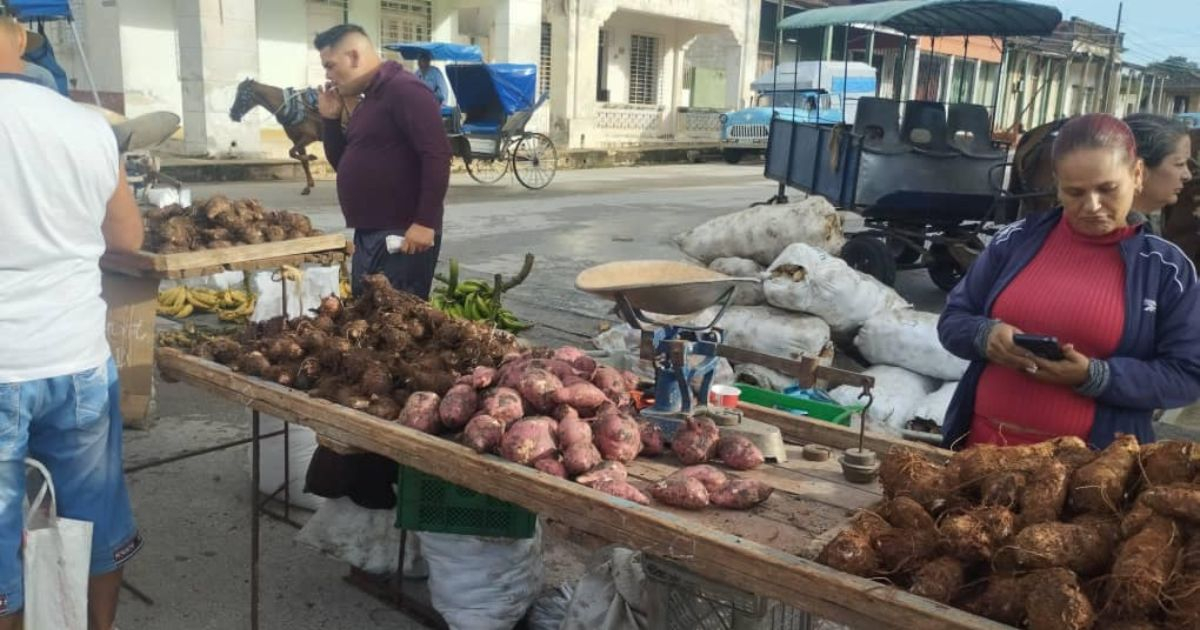 Feria agropecuaria en Placetas, Villa Clara © Facebook / Inspección Villa Clara 