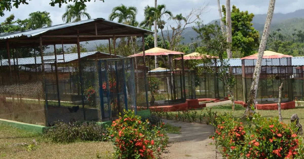 Zoológico de Baracoa afronta escasez de animales y alimentos para aves