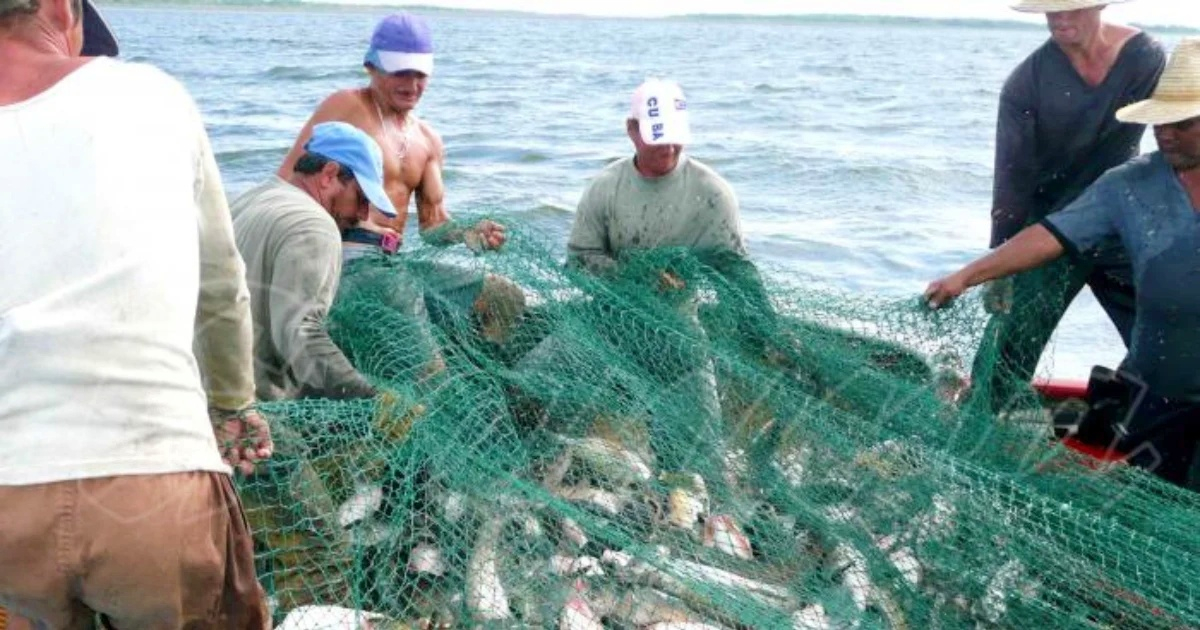 Recepción de fondos para pesca sostenible en Cuba no garantiza acceso a productos del mar para los ciudadanos