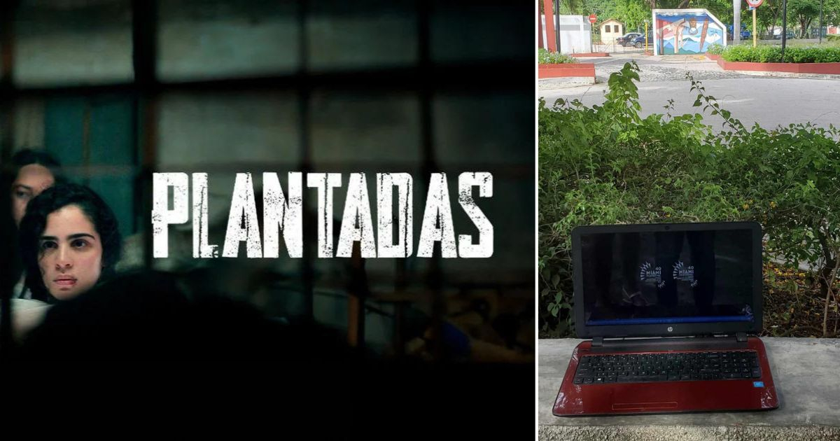 "Plantadas" se puede ver desde cuba a través de una VPN © Collage VIX y Facebook / Lilo Vilaplana