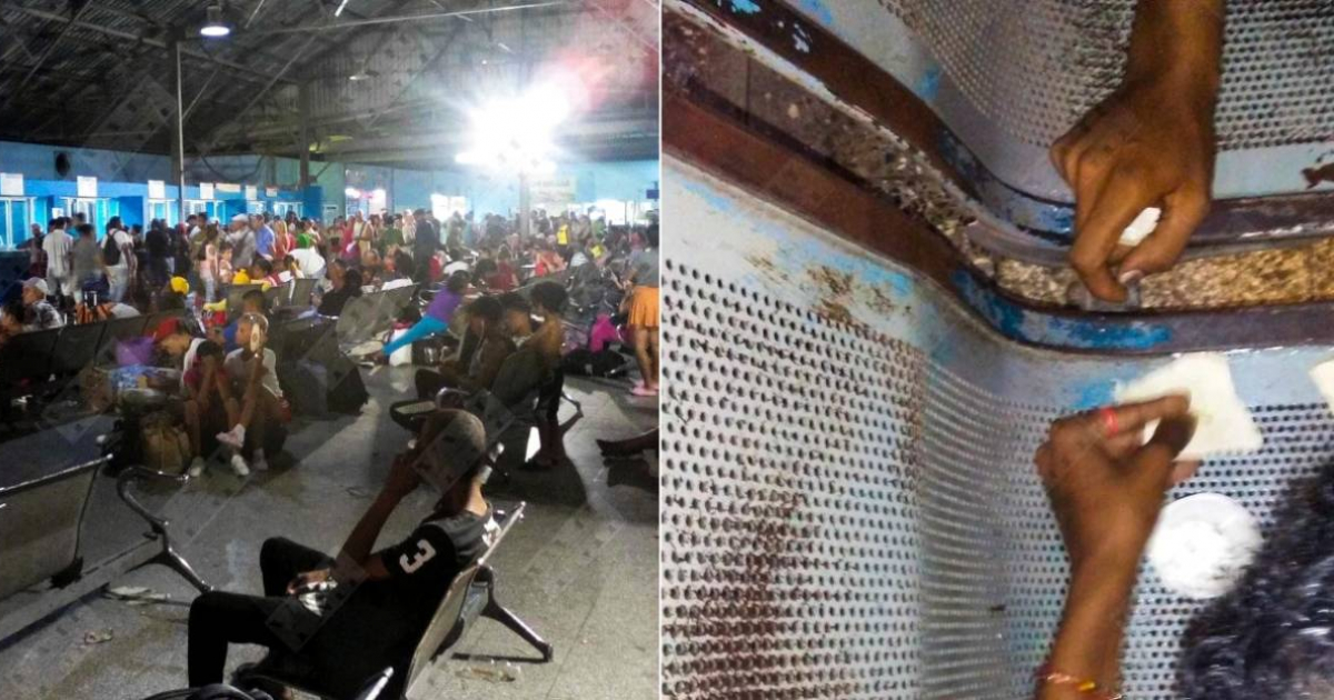 Havana's Waiting List Terminal Overrun with Bedbugs and Lacks Transportation