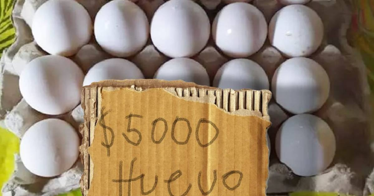 Cartón de huevos supera los cinco mil pesos en Cuba en medio de crisis alimentaria