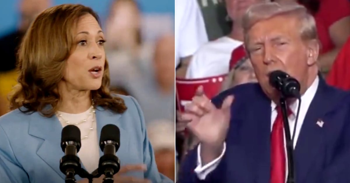 Kamala Harris y Donald Trump en campaña © Captura de video X / @KamalaHarris - @realDonaldTrump