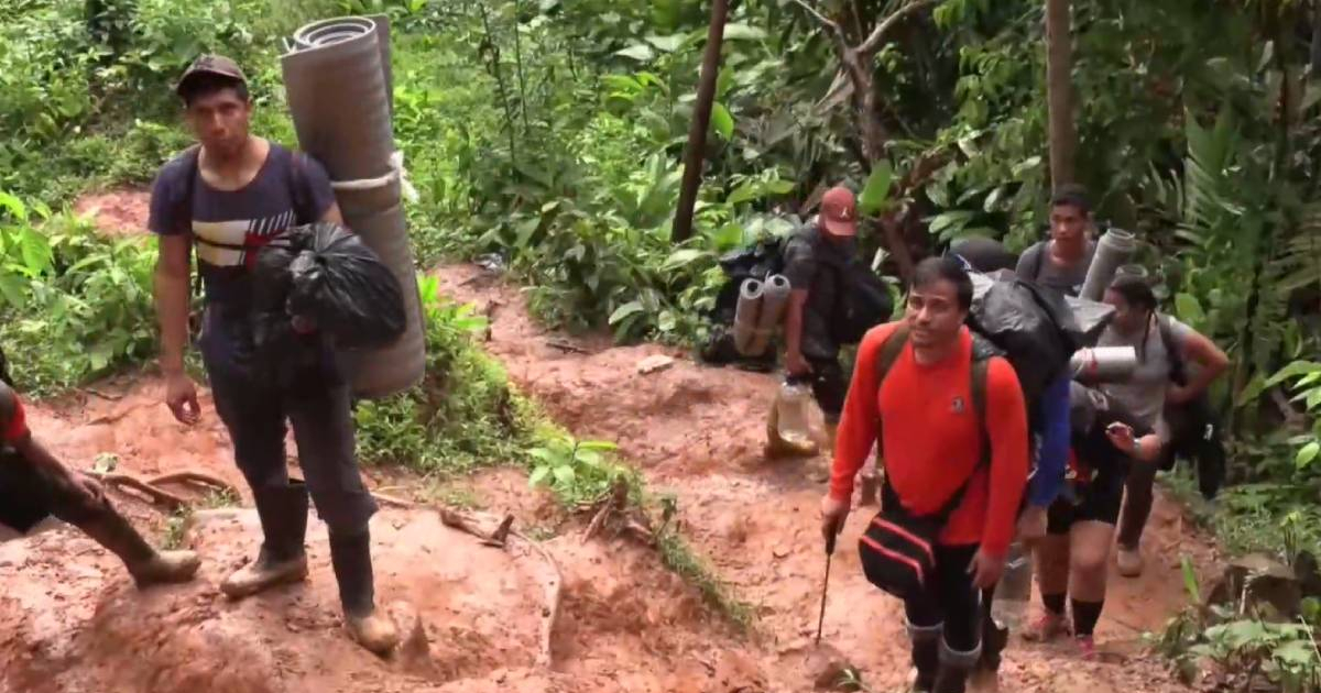 Migrantes cruzando la selva del Darién (Imagen de referencia) © Captura de imagen video EFE