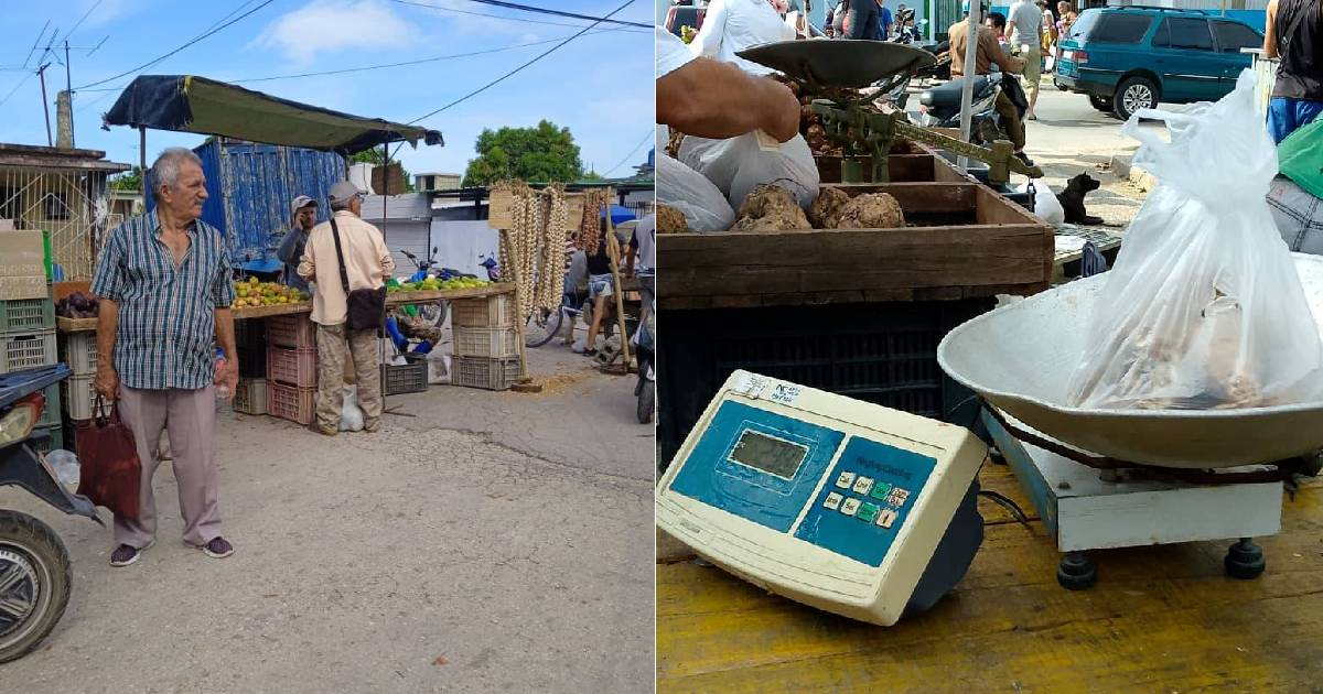 Multas de hasta 15,000 pesos a vendedores en feria agropecuaria de Santa Clara