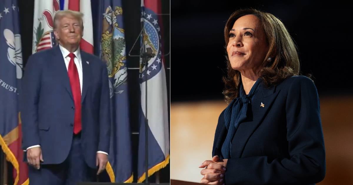 Donald Trump y Kamala Harris © Collage/Redes Sociales