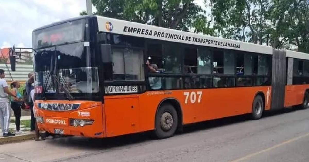 Cubanos celebran la nobleza de un chofer que ayudó a una anciana en La Habana