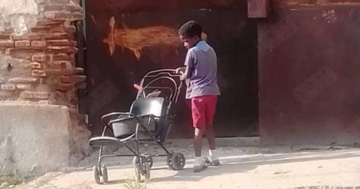 Niño en Santiago de Cuba vende aguacates para sostener a su familia