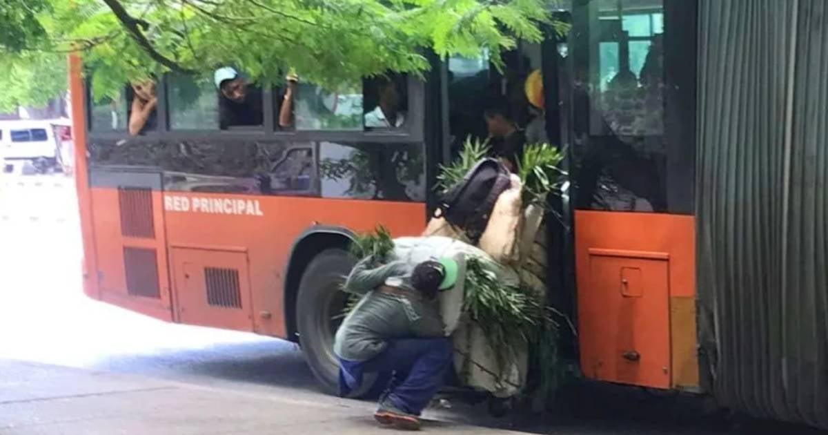 Hombre sube sacos de hierba a la guagua © Facebook/Juan Manuel Montoto