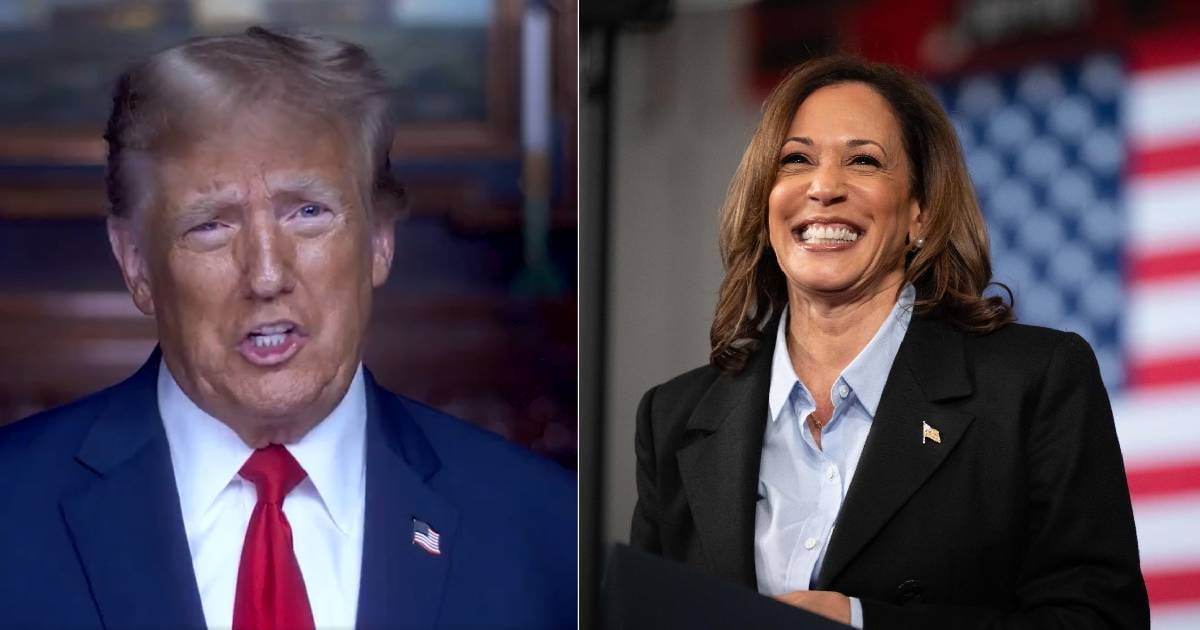 Trump y Kamala Harris © Collage redes sociales