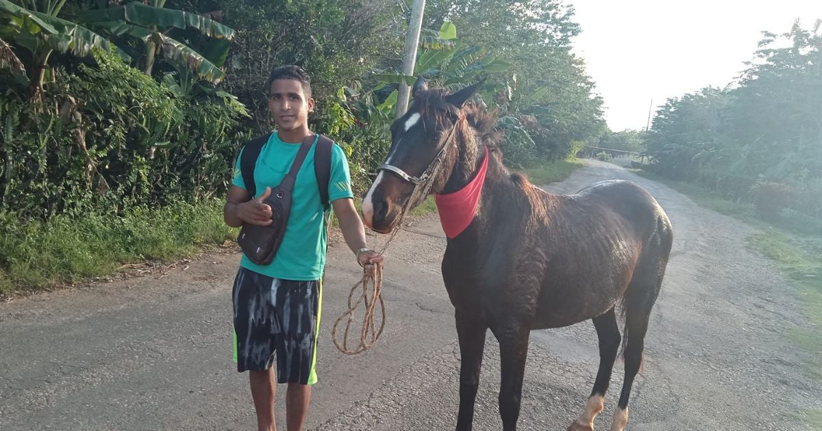 Recompensa de 40,000 pesos por yegua extraviada en Guantánamo