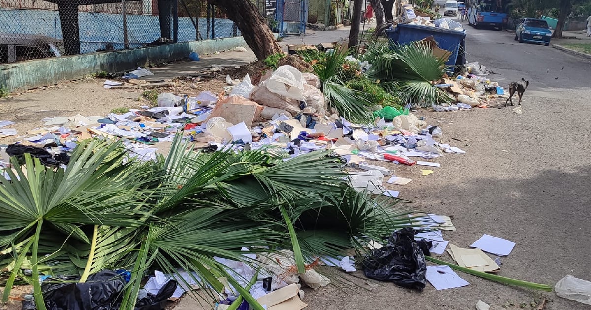 Trash Piles Surround Major Ministries in El Vedado