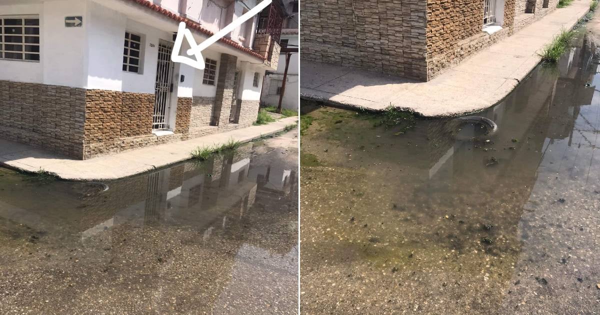 Mother in Havana Reports Sewage Flooding Outside Her Home