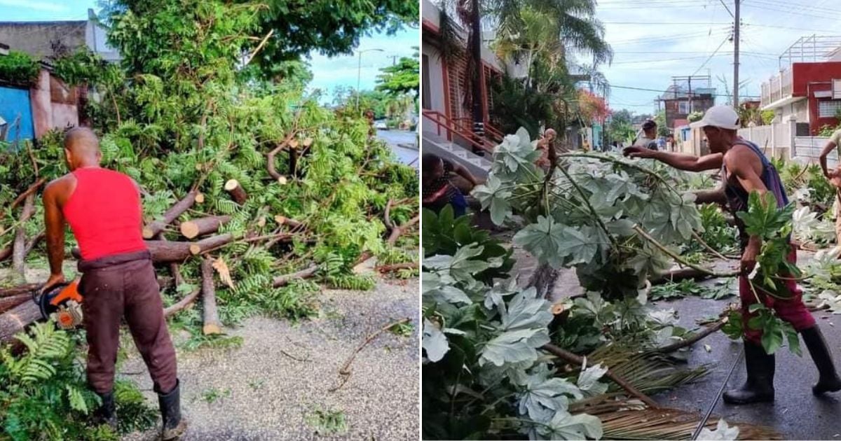 Intense Rainfall Topples Trees, Blocks Roads in Santiago de Cuba