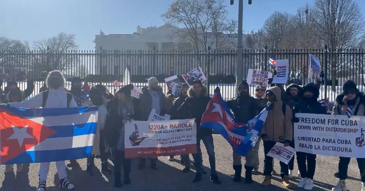 Manifestación frente a la Casa Blanca (Imagen de Referencia) © Captura de Video