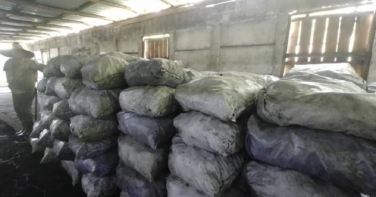 Santiago de Cuba Authorities Introduce Charcoal Sales and Affordable Meals Amid Crisis