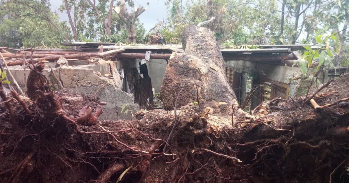 Child's Home Devastated After Tree Fall During Hurricane Oscar in Baracoa