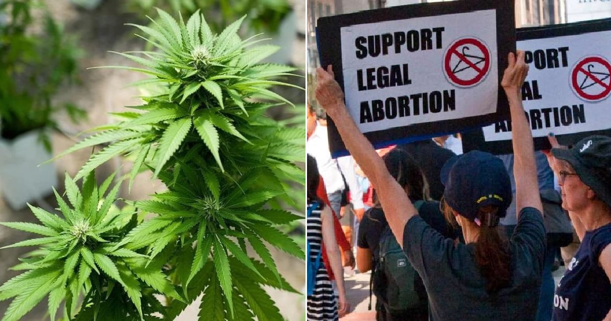 Florida Voters to Decide on Marijuana Legalization and Abortion Rights Amidst U.S. Elections