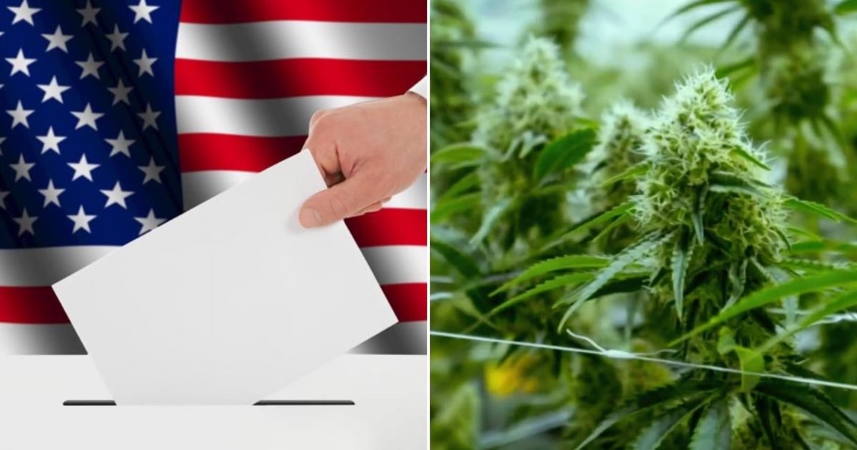 Florida Voters Reject Amendment to Legalize Recreational Marijuana