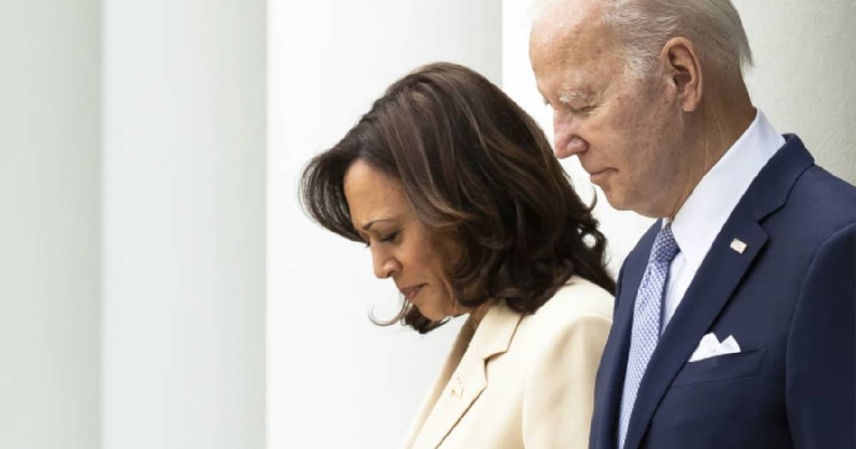 Biden and Harris: A Shared Accountability in the Democratic Party's Defeat