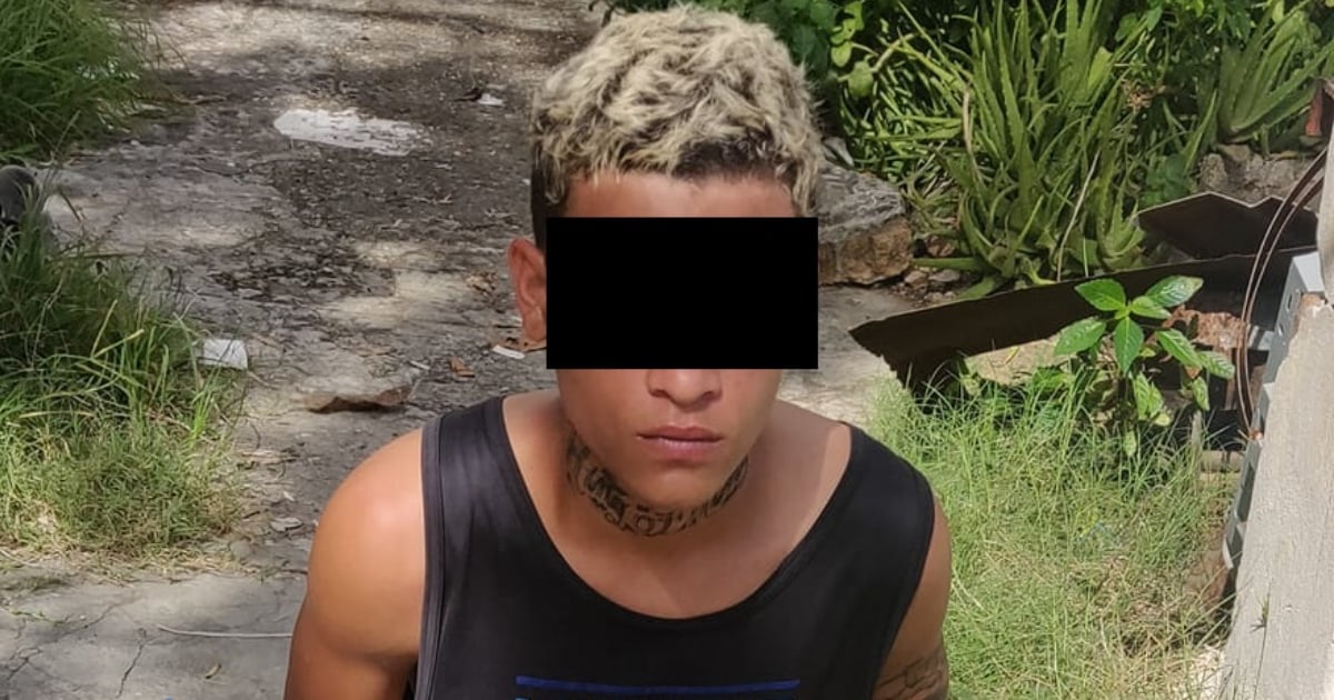 Young Man Accused of Mugging High School Students in Havana Apprehended by Locals