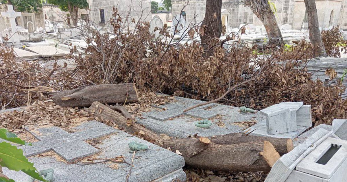 Abandono y desidia en el Cementerio de Colón, en La Habana © Facebook / Carlos Herrera Rodriguez