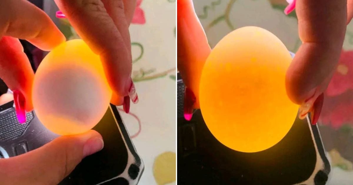 Cuban Pro-Government Page Suggests Using Phone Flashlight to Check Egg Freshness