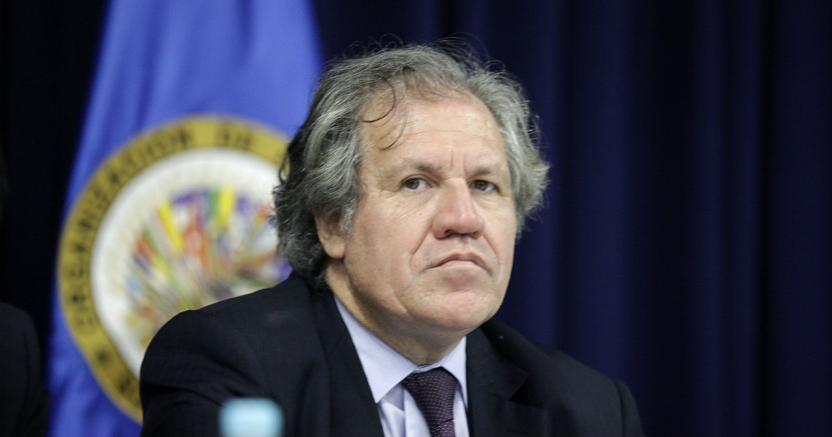 El secretario general de la Organización de Estados Americanos (OEA), Luis Almagro © Twitter / @Almagro_OEA2015