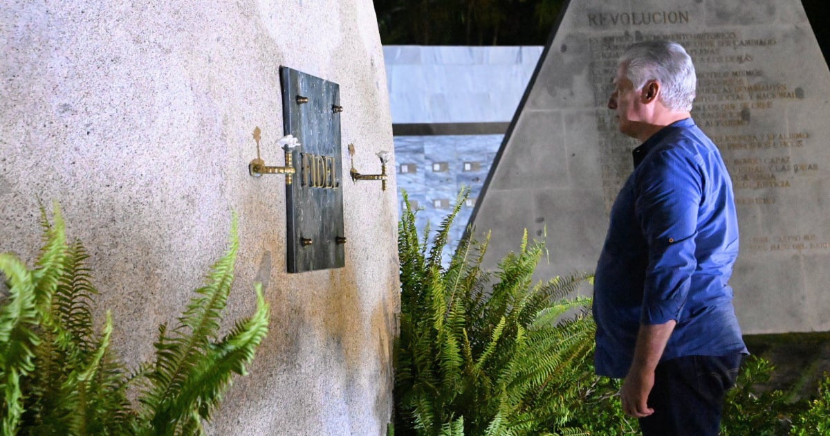 Díaz-Canel's Contemplation at Fidel Castro's Resting Place