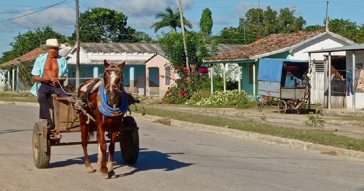 Campo cubano © Cubaperiodistas