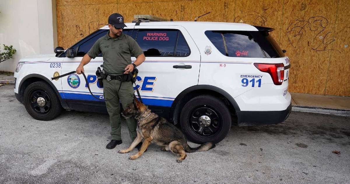 Massive Vehicle Theft in Miami Beach: Authorities Investigate Ongoing Case