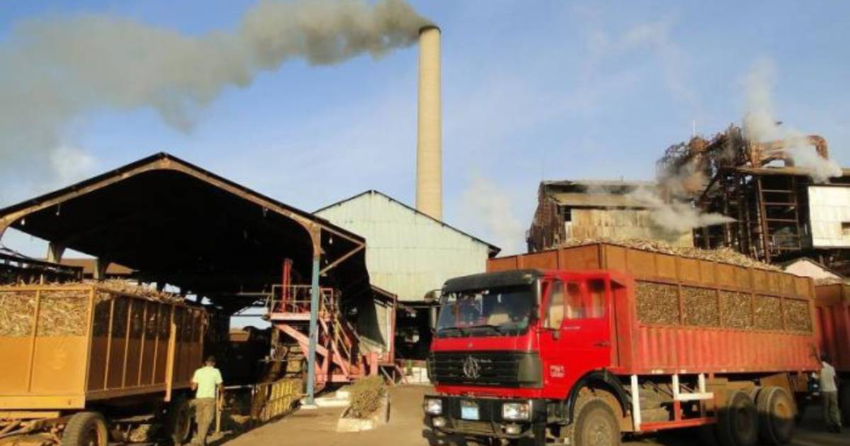 Cuba's Sugar Industry Struggles: Only Six Mills in Operation, Processing a Mere Quarter of Planned Cane