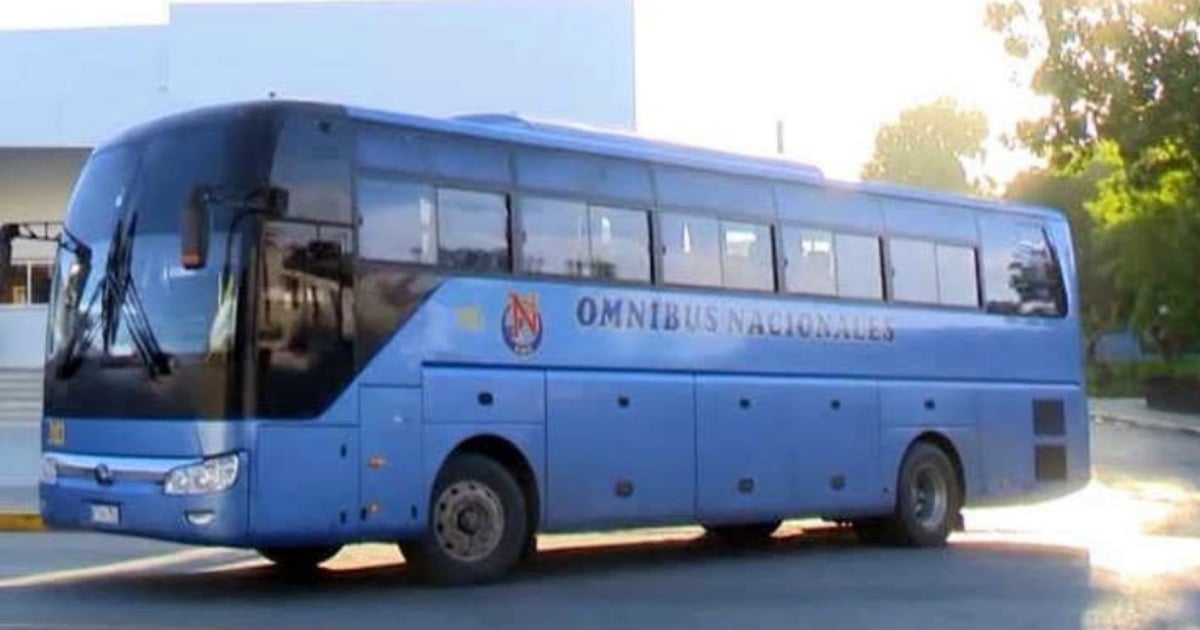 Bus Accident in Cuba: Yutong Bus Strikes Pedestrian in Ciego de Ávila