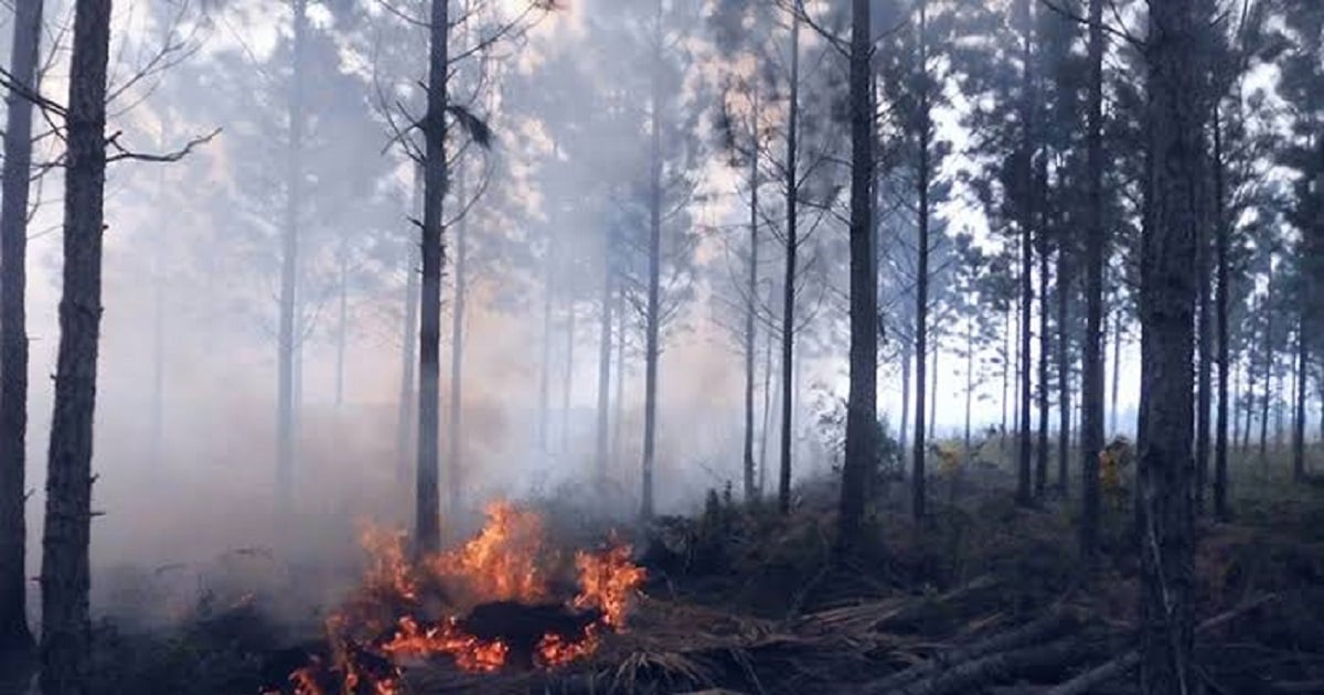 Incendio forestal (Imagen de referencia) © Periódico Vanguardia