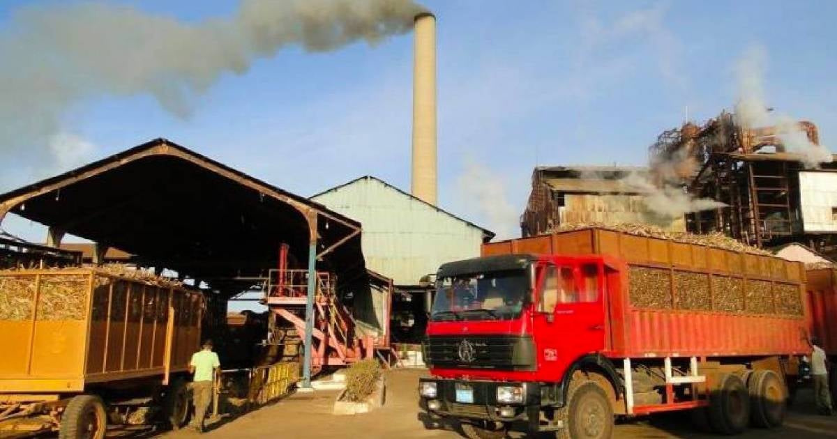 Cuba Faces Lowest Sugar Production Since 19th Century
